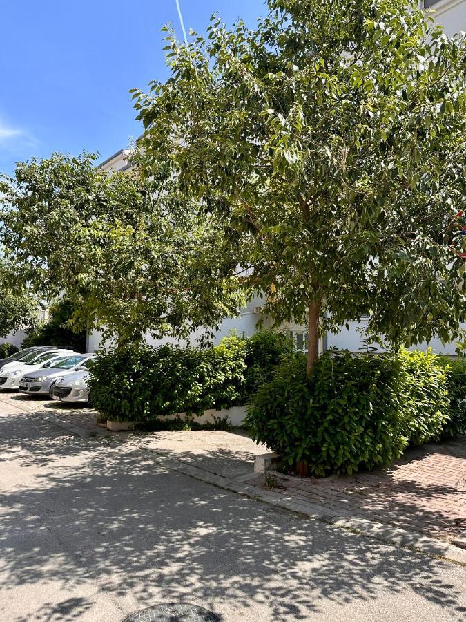 Apartment Tranquilo